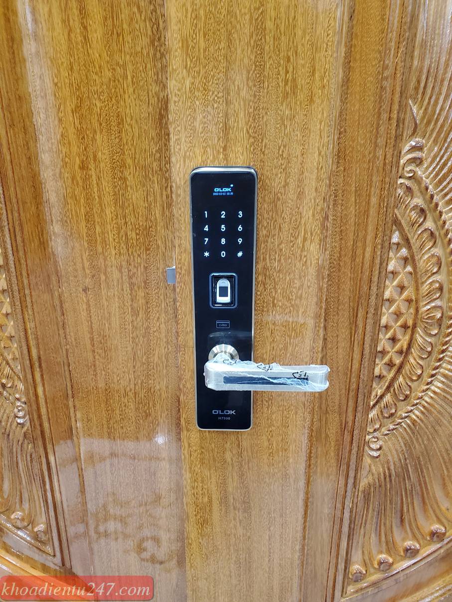 Khoá cửa vân tay OLOK H7900
